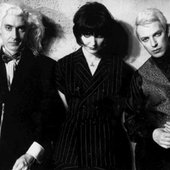 Siouxsie And The Banshees