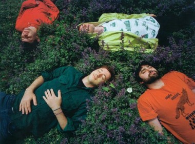 Animal Collective