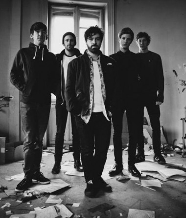 Foals